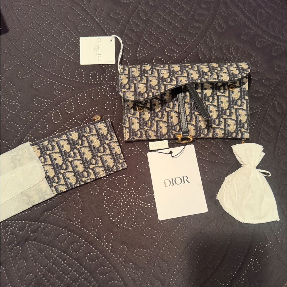 Dior Small Saddle Pouch with Chain Blue and Cream monogram design.